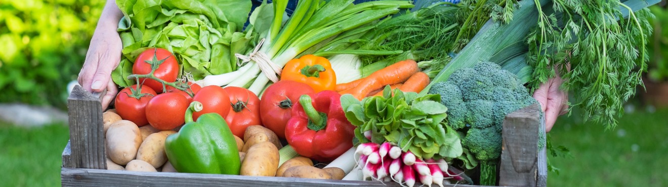 The Importance of Diversification in Farms | AgriCook
